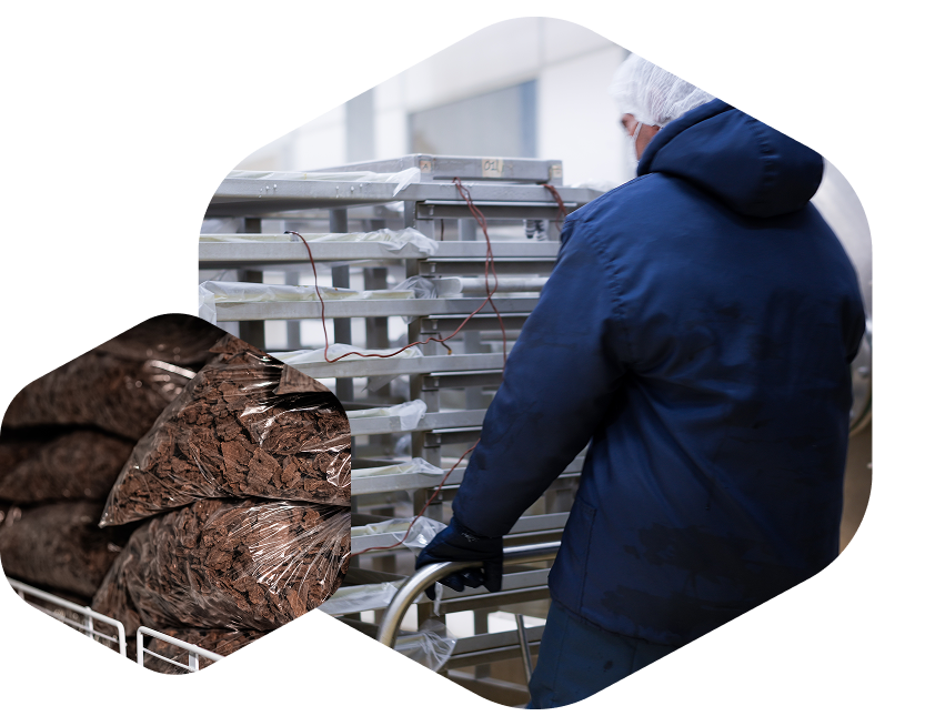 MN facility processing
