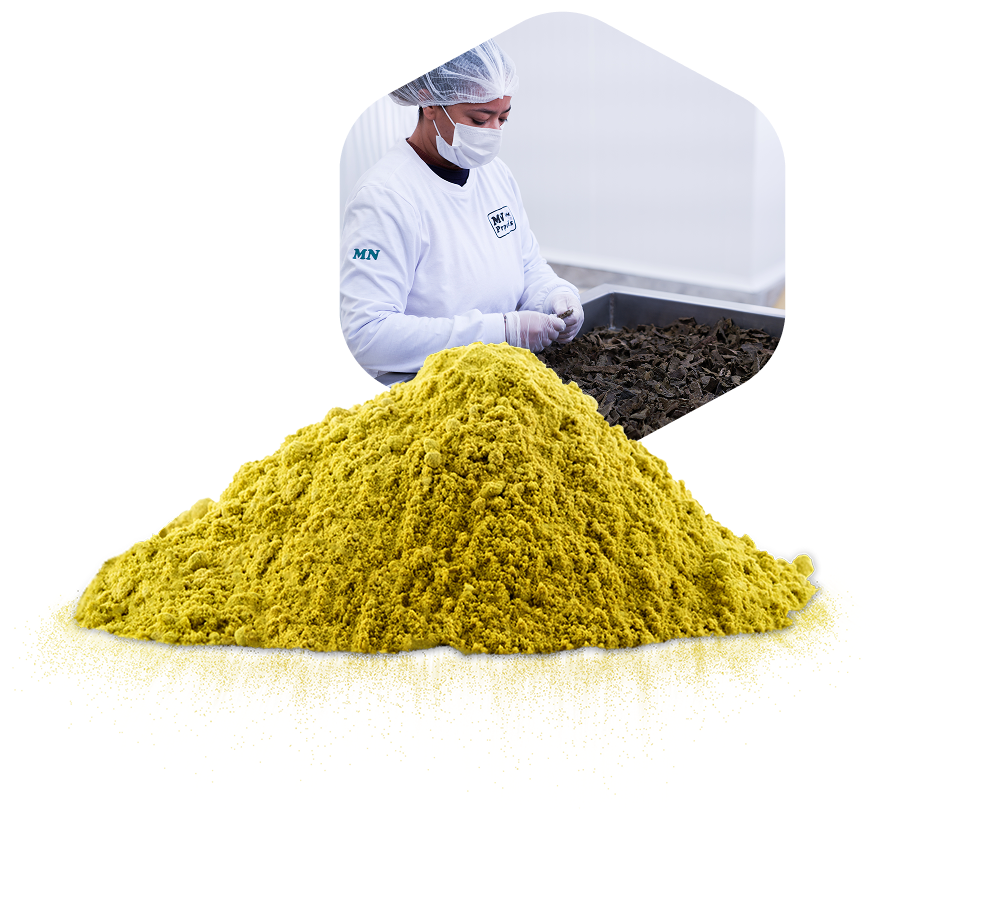 Professional presenting green propolis powder